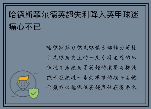 哈德斯菲尔德英超失利降入英甲球迷痛心不已